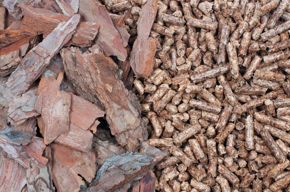Corteccia e pellet