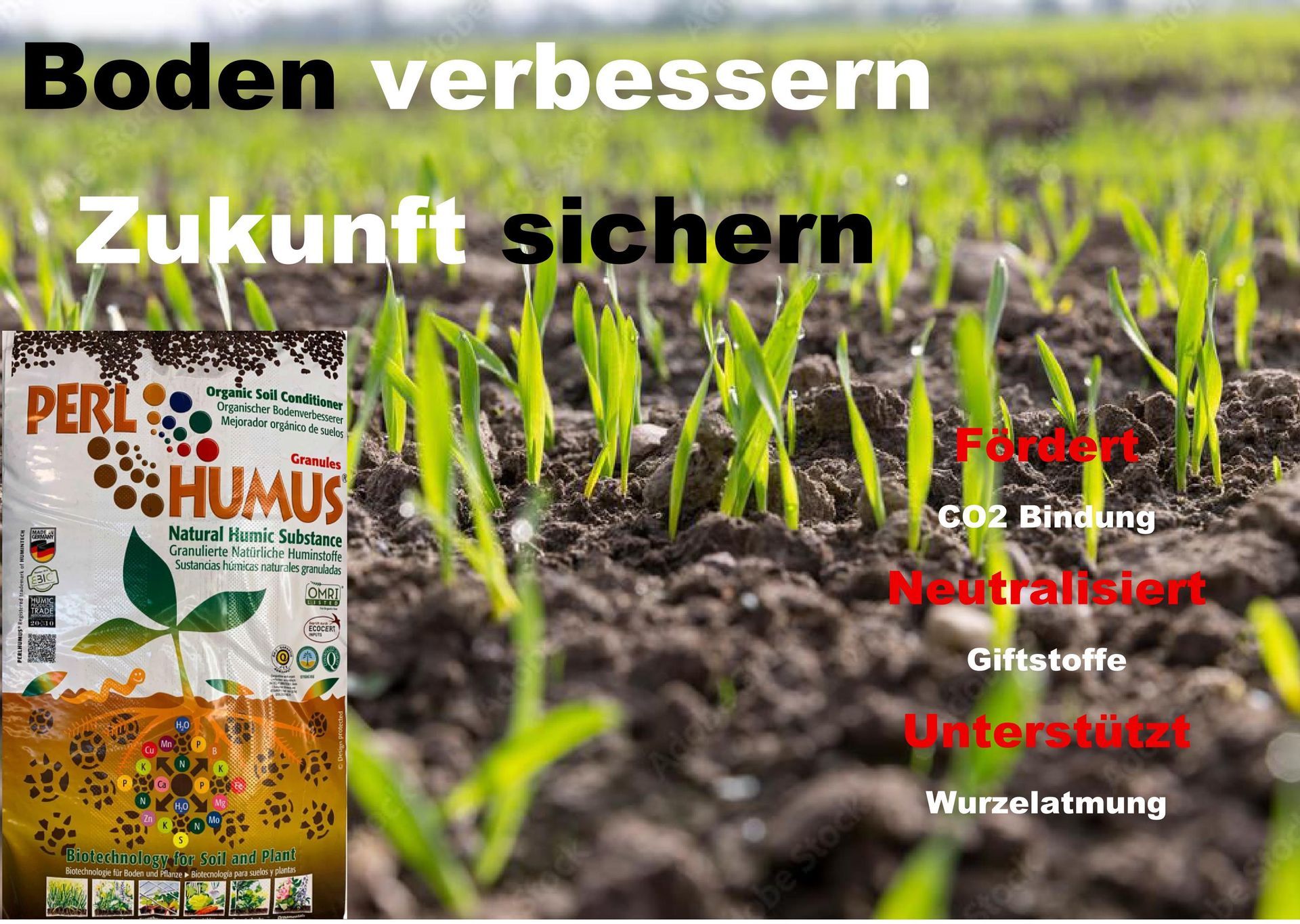 Perlhumus granuliert,  ein natürlicher, hochwertiger Boden-Verbesserer auf Huminstoff-Basis 