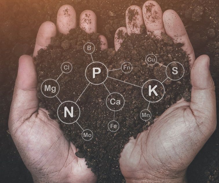 Bioporen sind Wege für den Gastransport und können so die Belüftung des Bodens verbessern