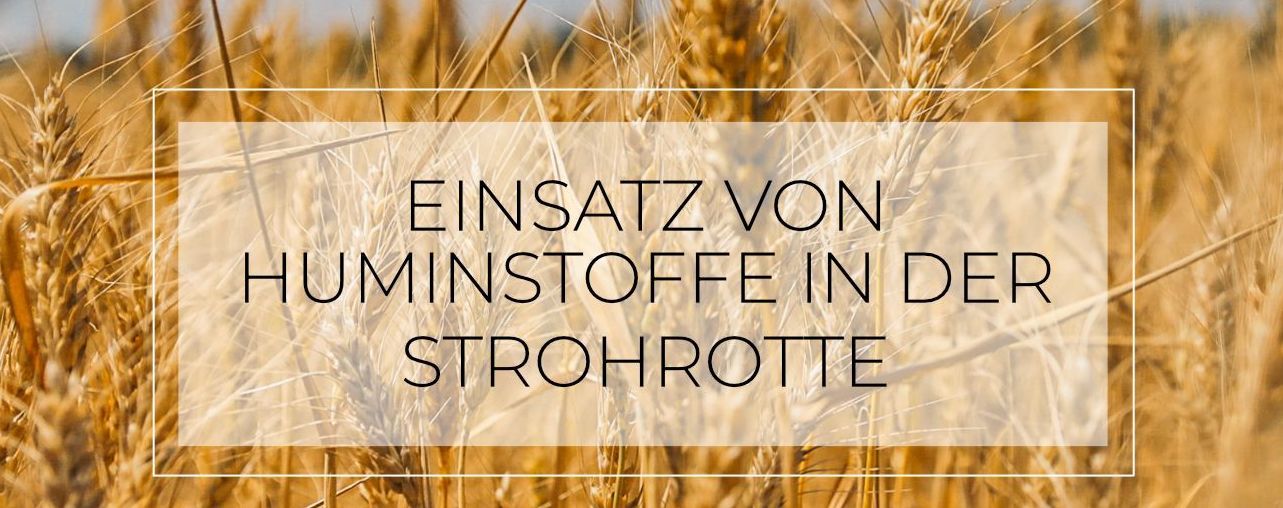 Eine nachhaltige Lösung für Bodenverbesserung
