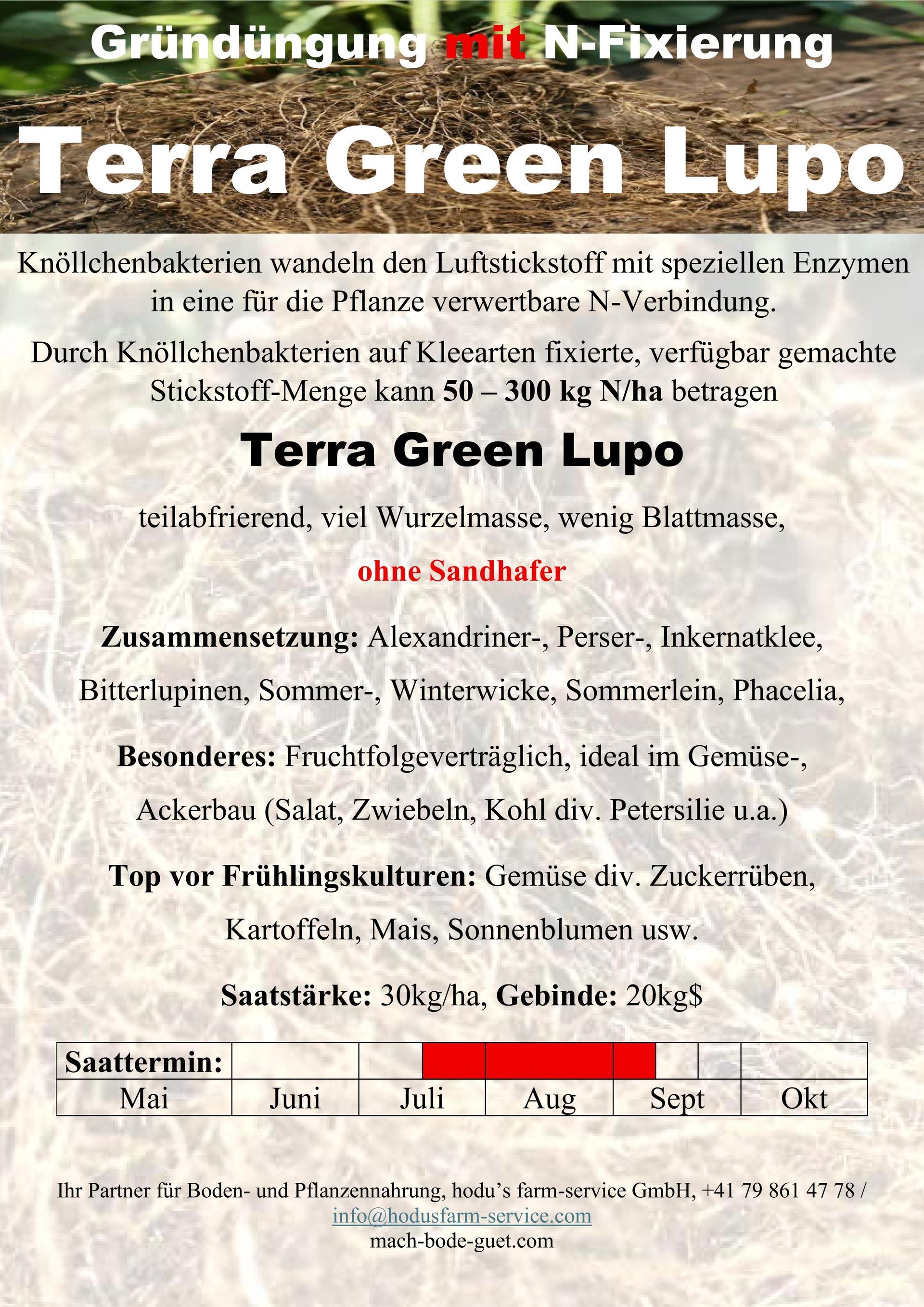 Terra Green, teilabfrierend mit viel Wurzelmasse, wenig Blattmasse ohne Sandhafer