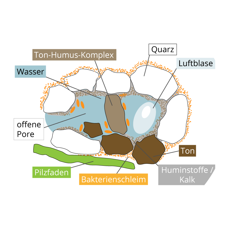 Ton-Humus-Komplex im Schema erklärt