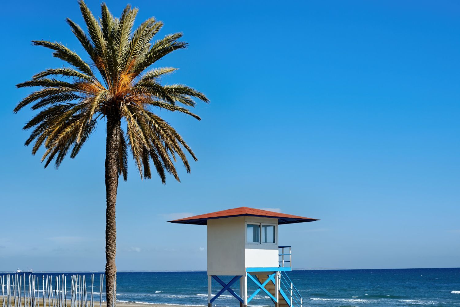 Palm tree and lifeguard tower on a sunny beach, blue sky and ocean in the background.