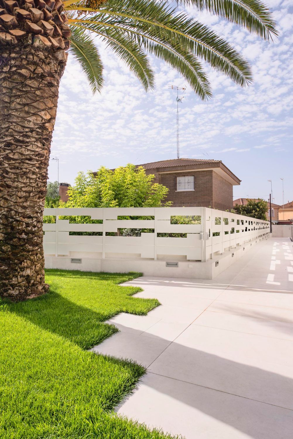Palm tree next to white fence and a paved pathway leading towards a house under a blue sky.