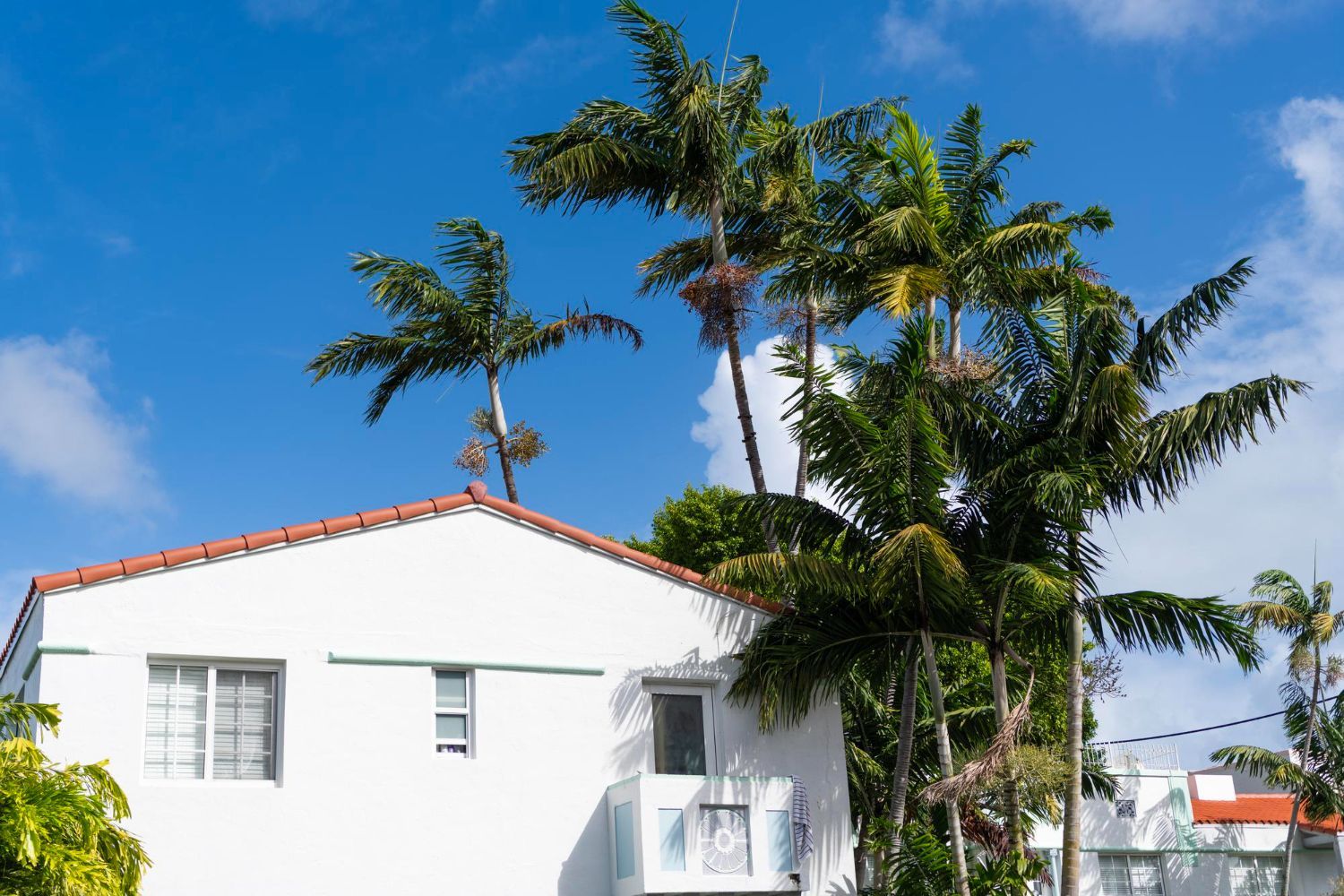 White building with red-tiled roof and palm trees against a bright blue sky.