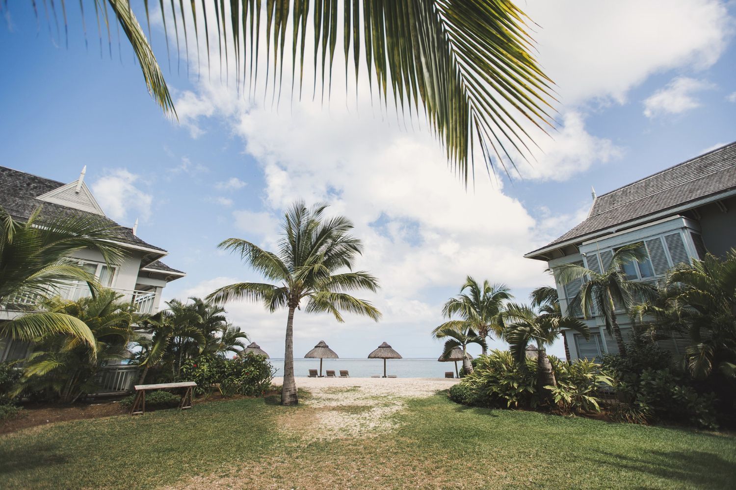 Beach view framed by buildings, palm trees, and fronds, with two umbrellas and the sea in the distance.