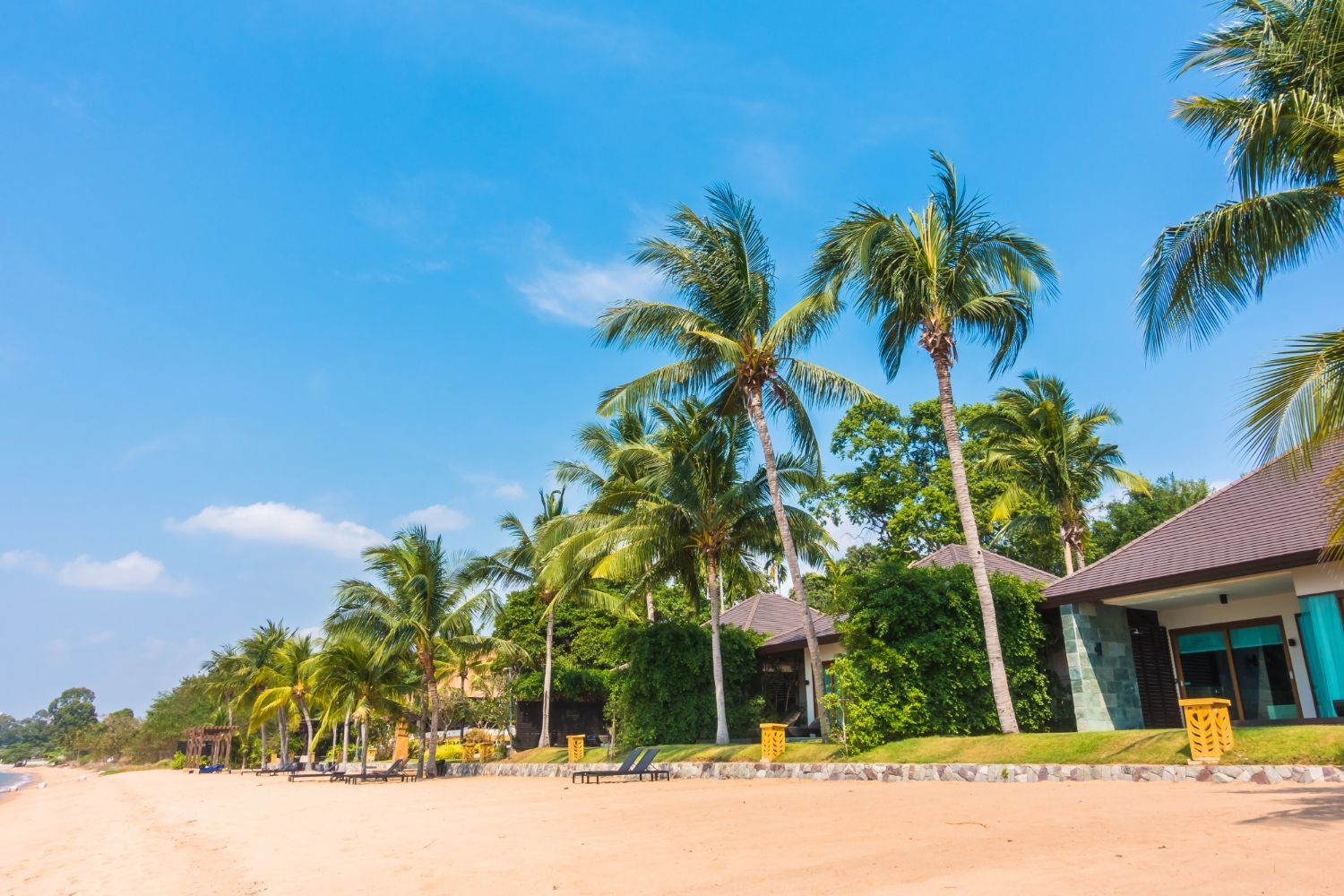 Beach with palm trees, houses, and lounge chairs under a clear blue sky.