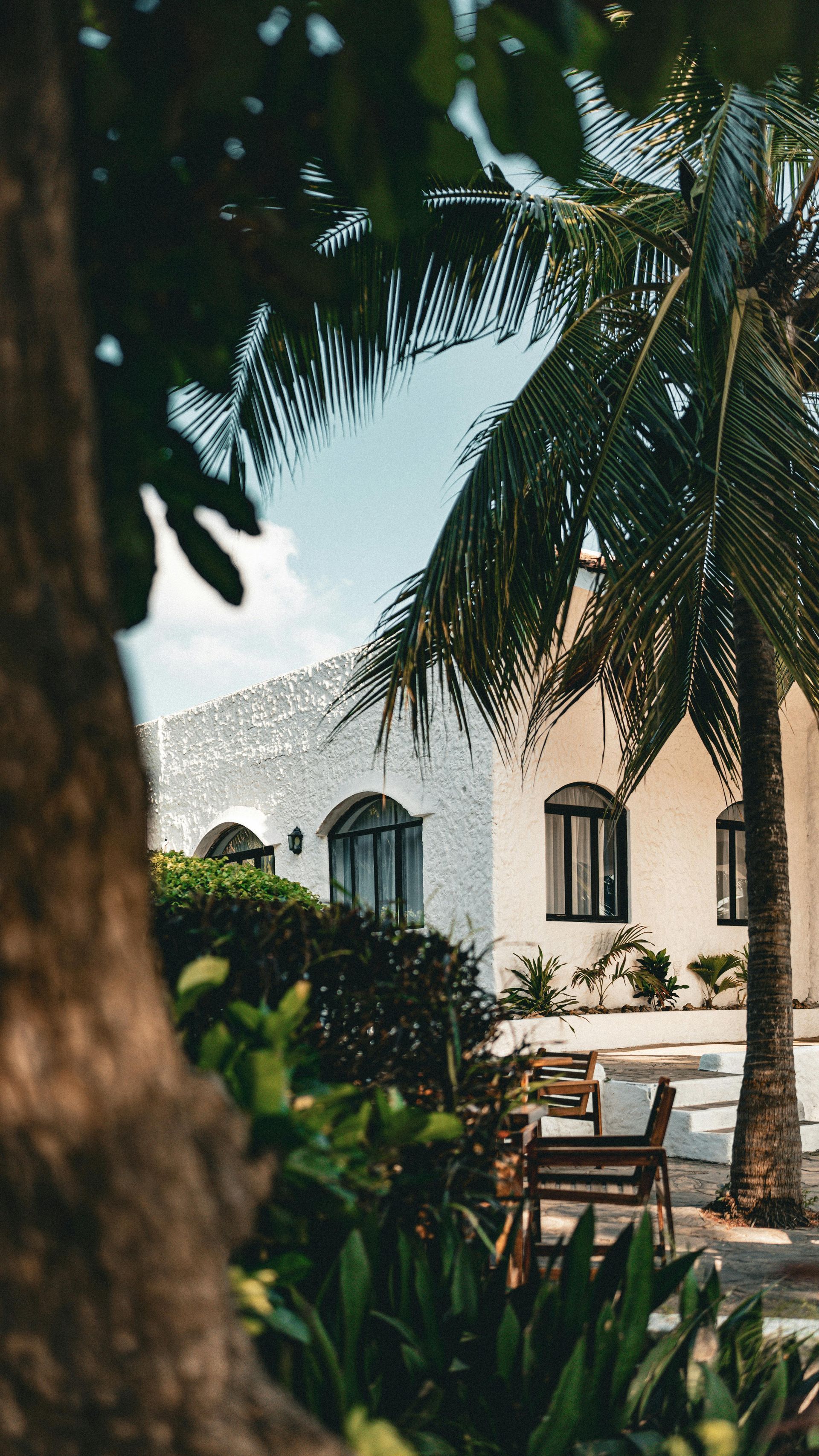 White building with arched windows and palm tree, tropical setting.