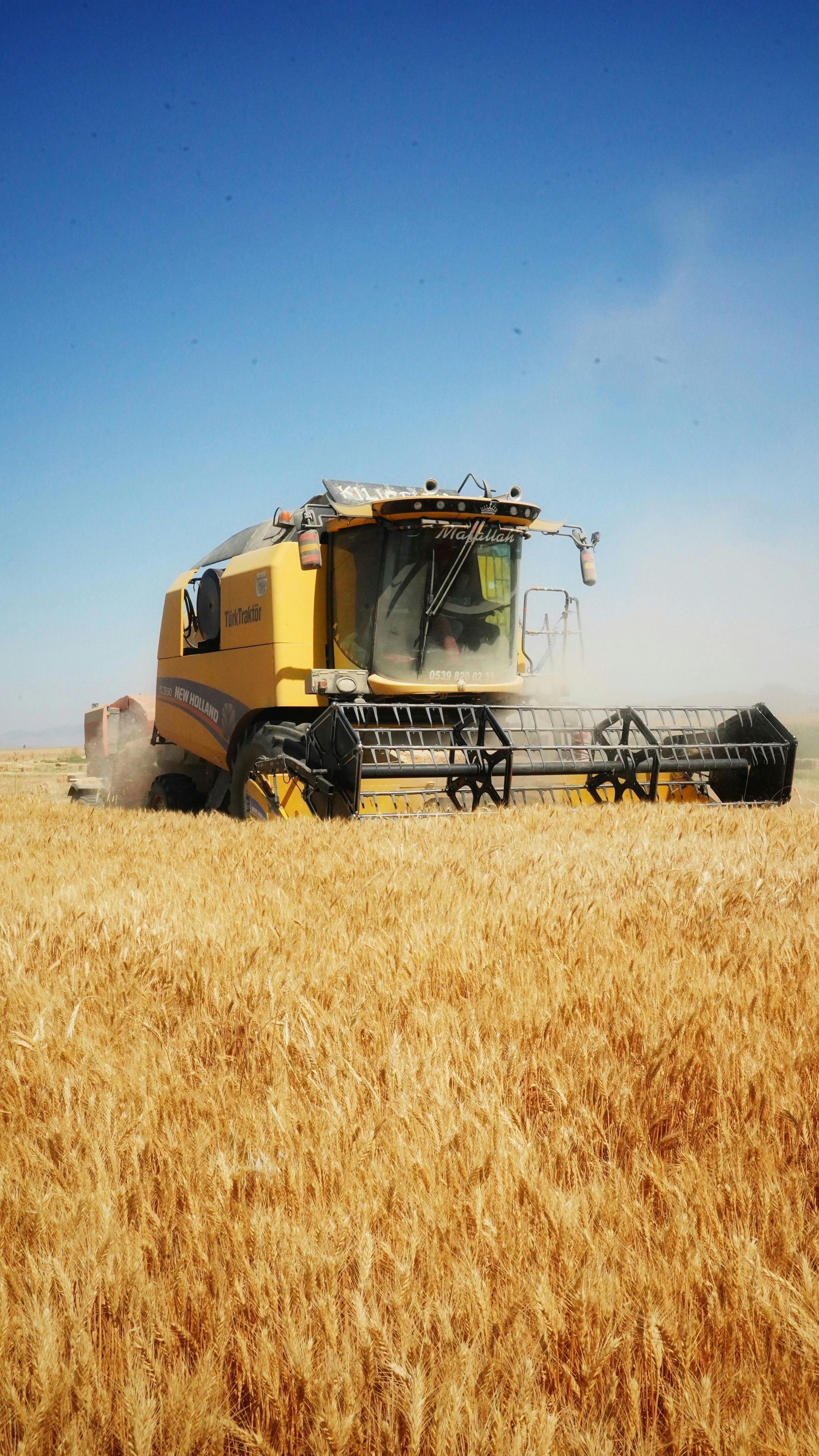 Da Terra à Tela | Colhendo insights e semeando oportunidades no mercado Agro em SC.