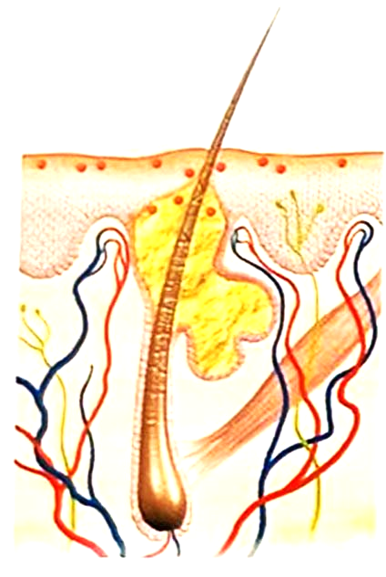 Energia fluorescente