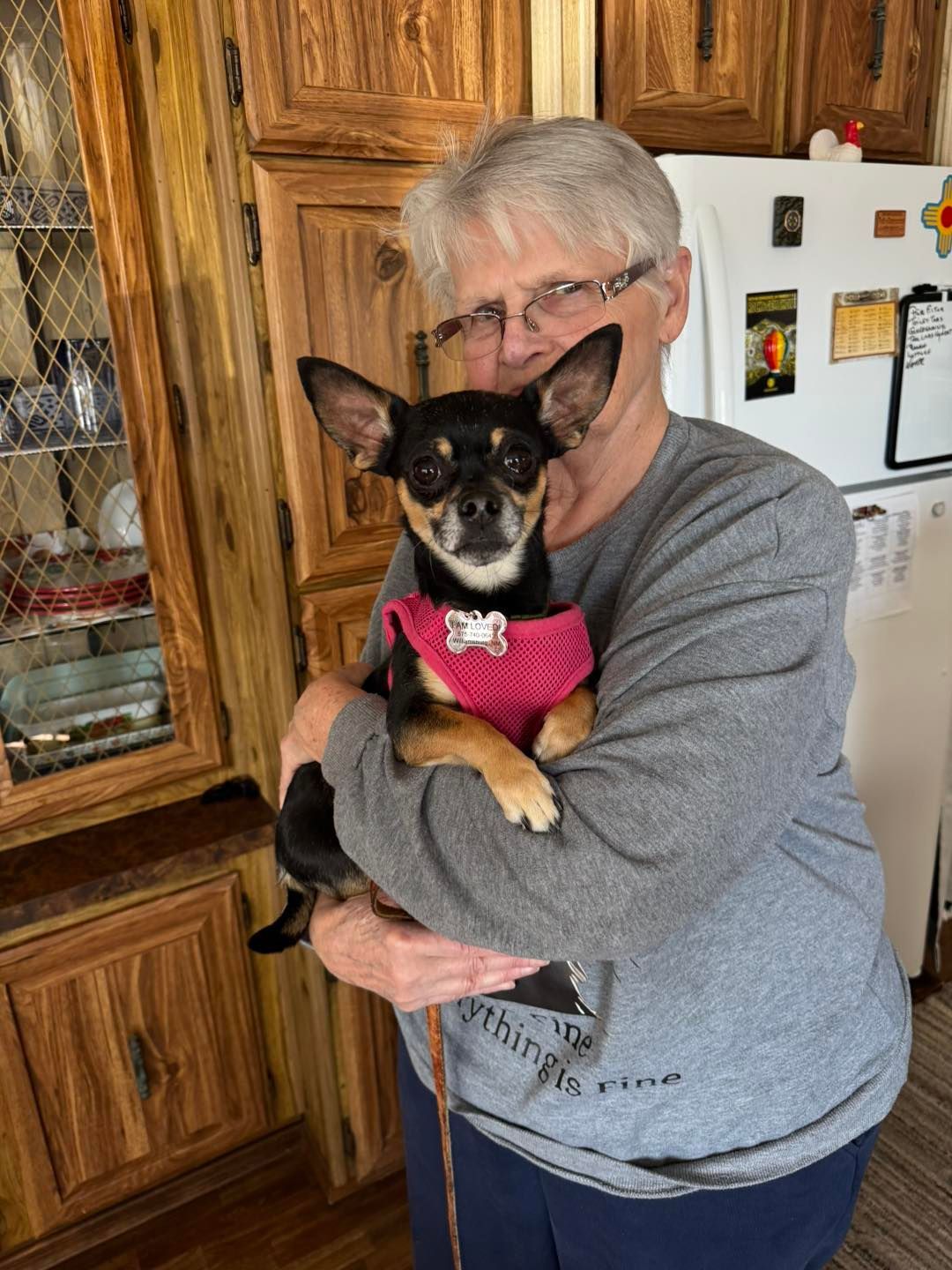 Black and tan Chihuahua wearing a red coat; another Chihuahua partially visible.