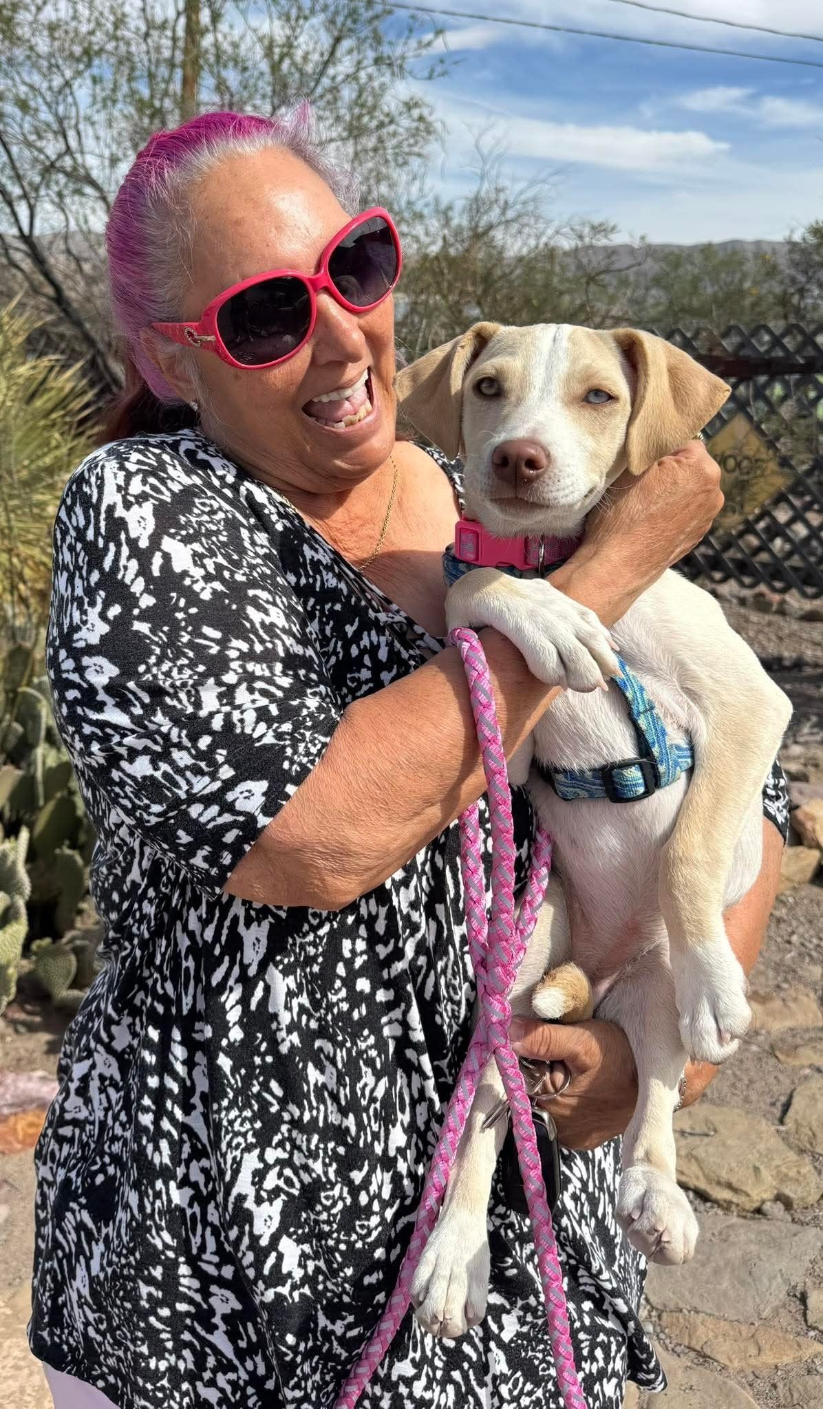 A person with pink hair and pink sunglasses holds a light-colored dog with a pink collar outdoors in a sunny setting.