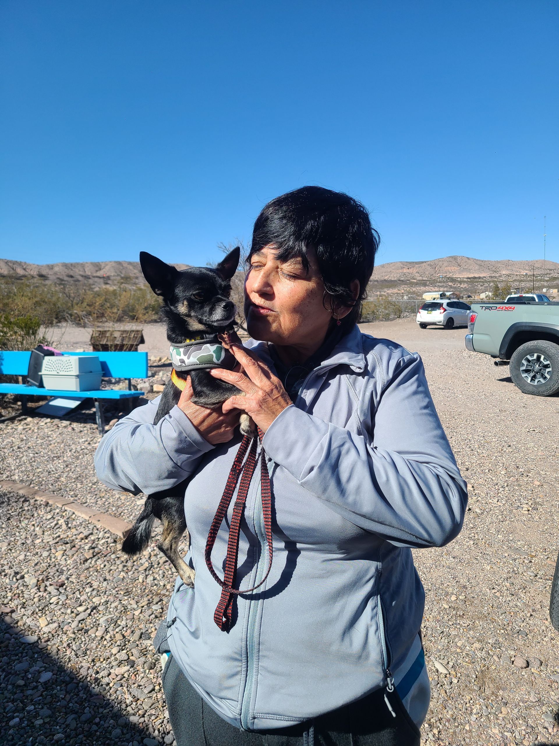 Black Chihuahua wearing a red and green vest, walking toward the camera on a sandy surface.