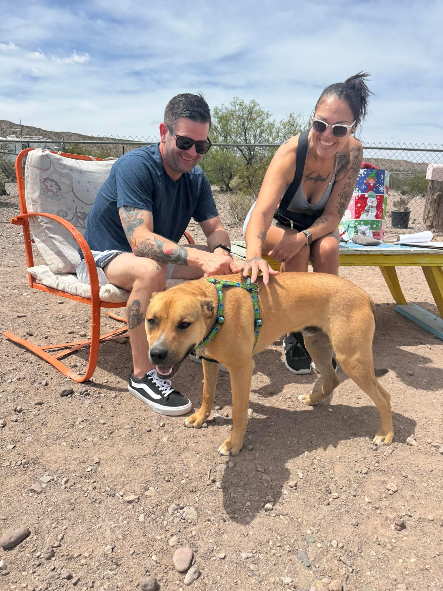 A person sitting in a chair and another person petting a tan dog outdoors in a sunny, rocky landscape.