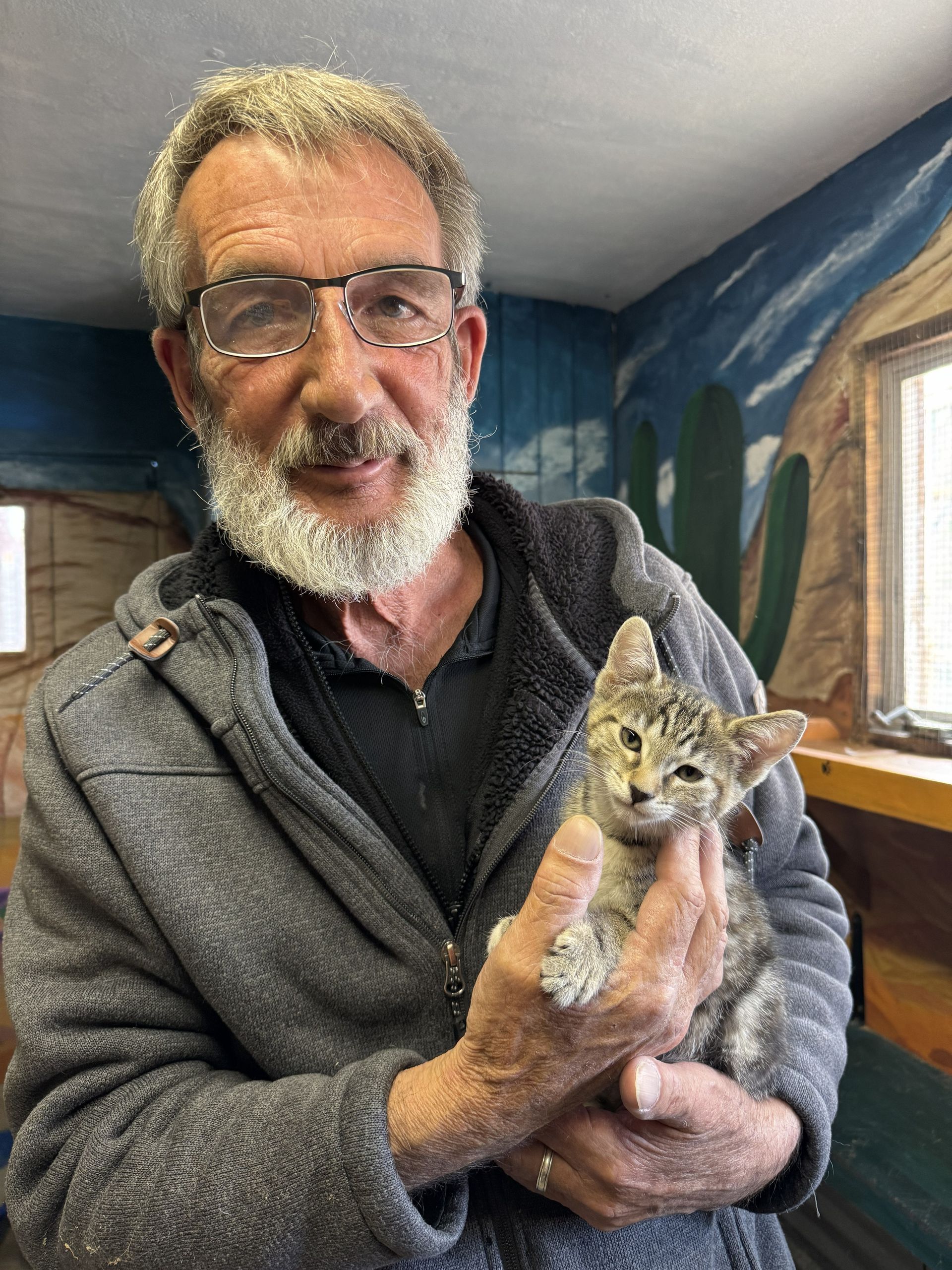Man holding a small tabby kitten indoors, with a painted wall and window behind him.