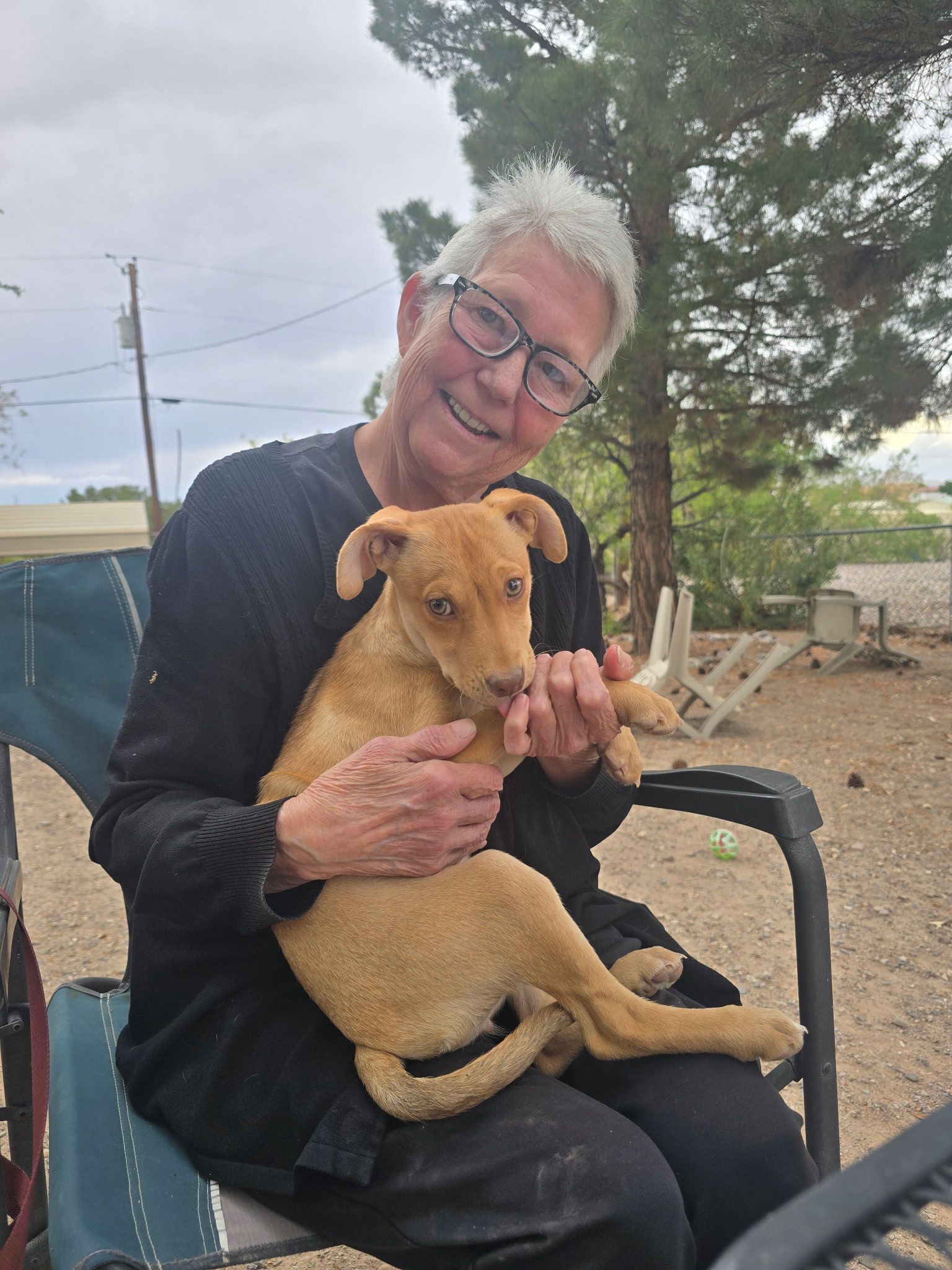Person smiling while holding a tan puppy outdoors on a chair
