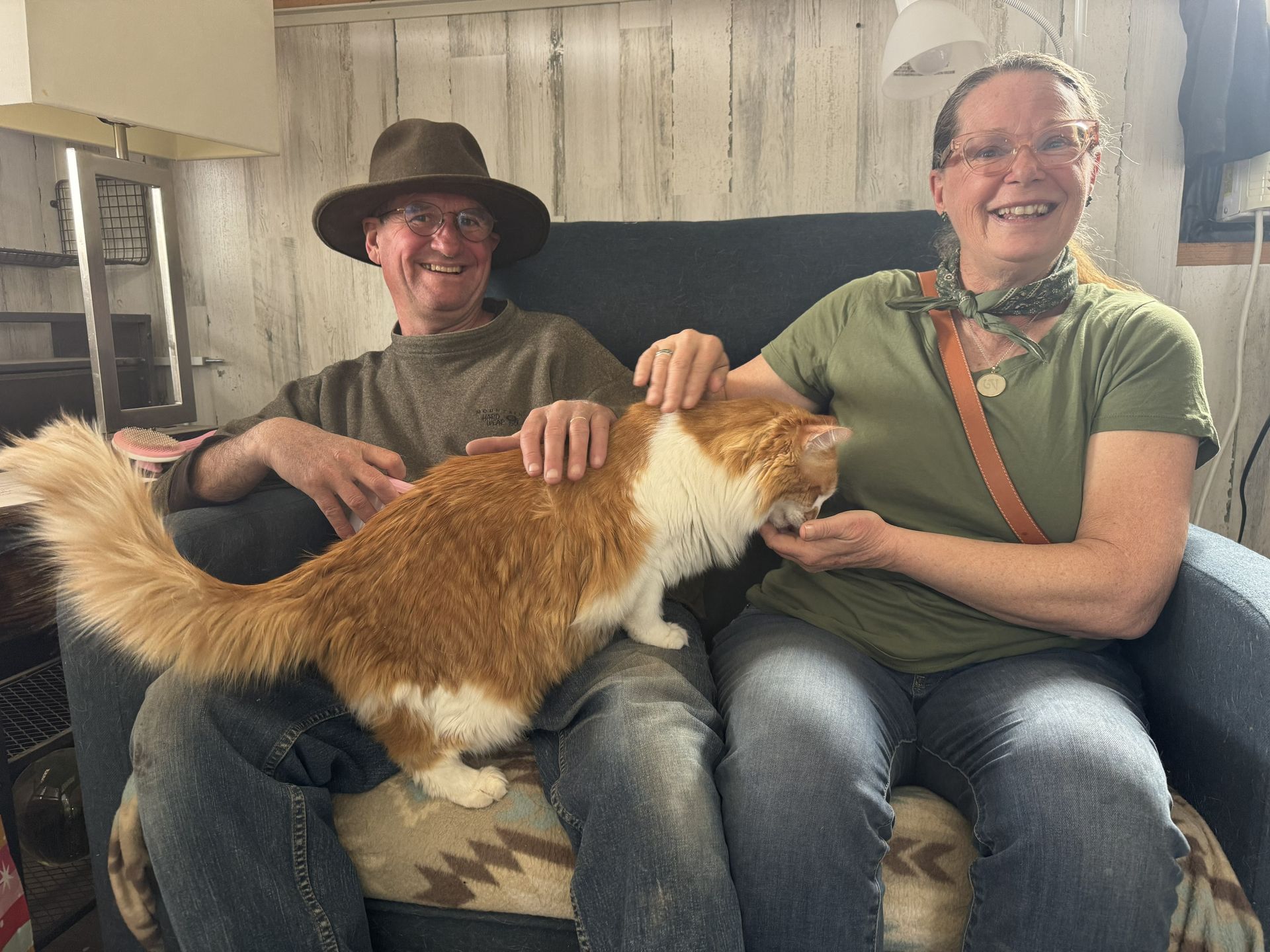 A smiling couple sits on a chair petting a large, fluffy orange-and-white cat indoors.