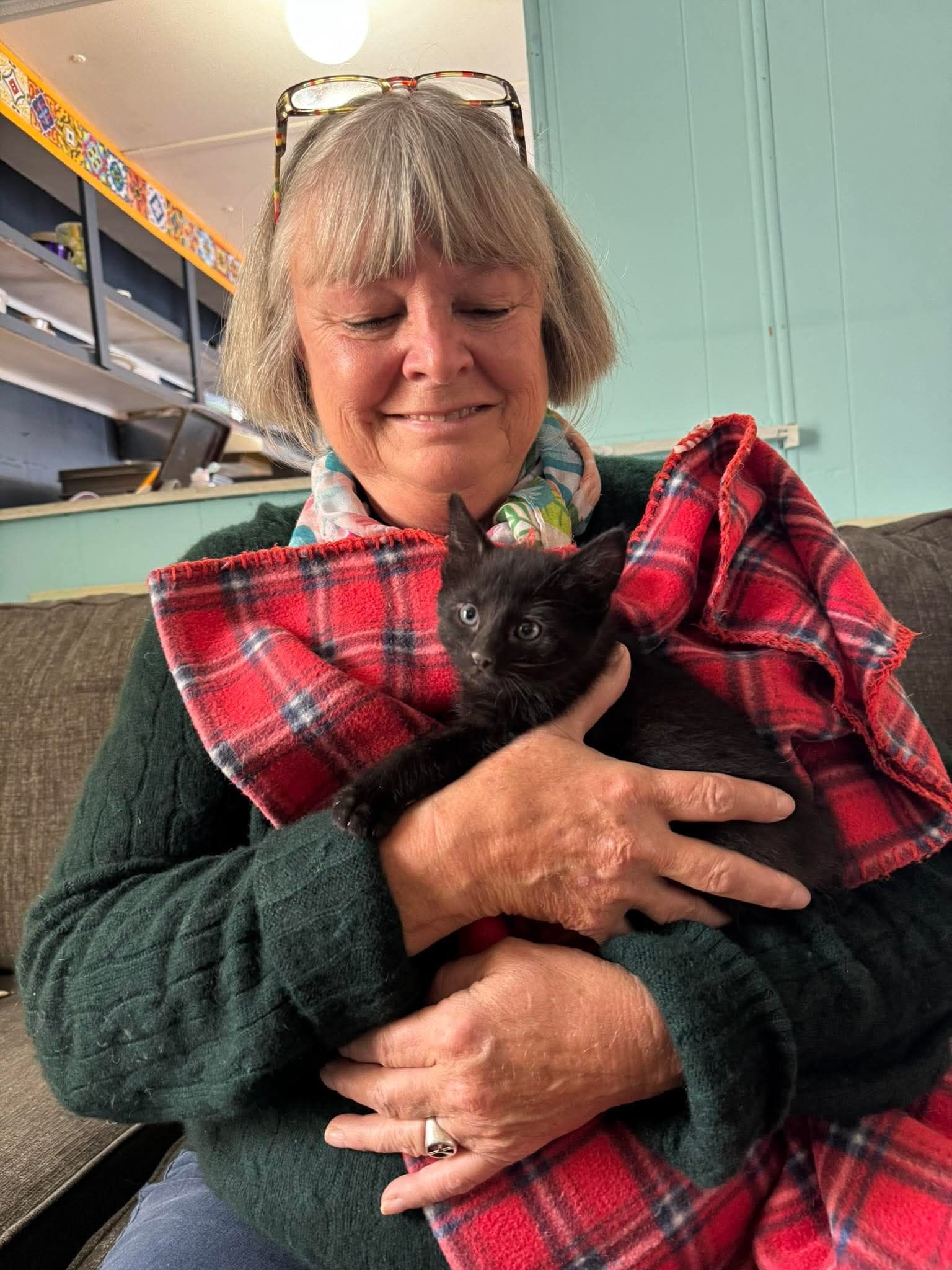 Person holding a black cat wrapped in a red plaid blanket indoors, smiling gently