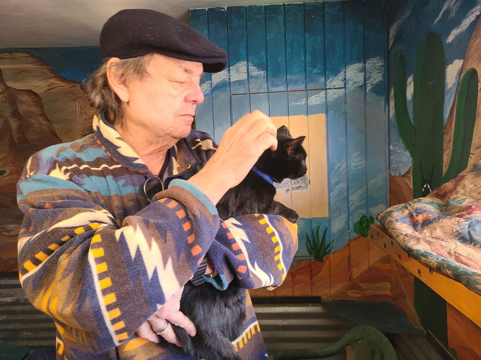 Black cat sitting on a colorful blanket by a window, looking away.