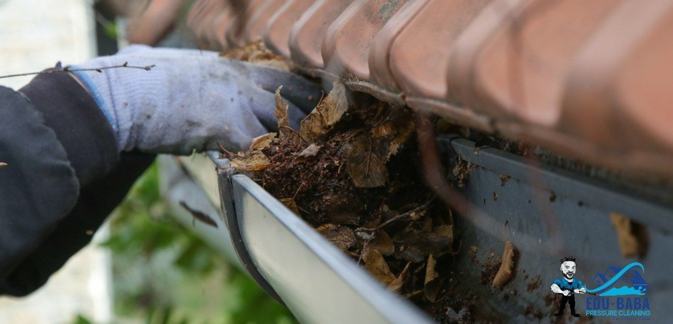 A Person is Cleaning a Gutter From Leaves on a Roof — EDU-BABA Pressure Cleaning in Weston Creek, ACT