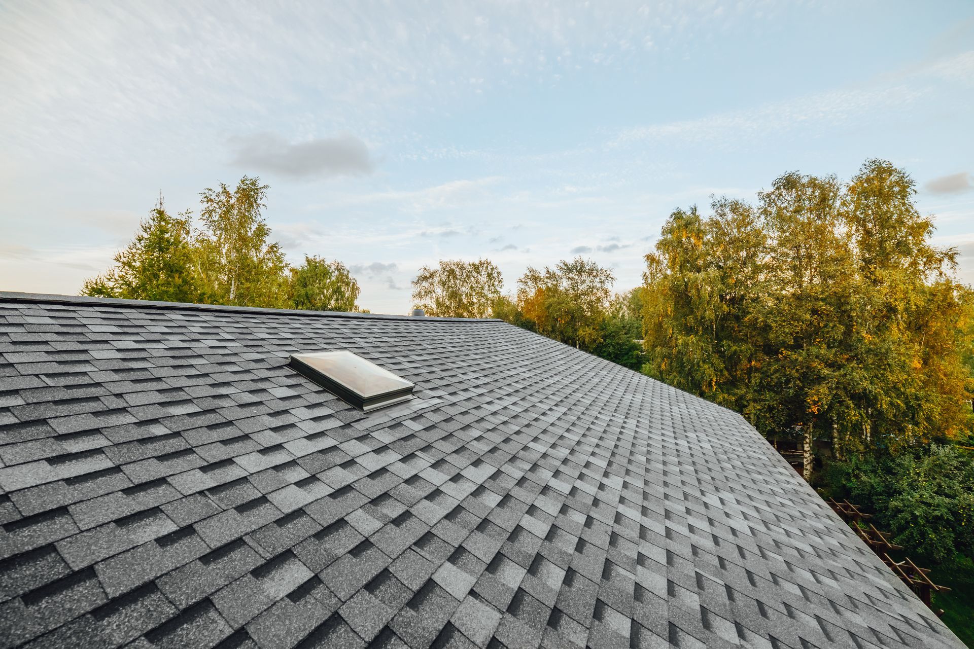 Gray asphalt shingle roof with skylight, trees, and sky.