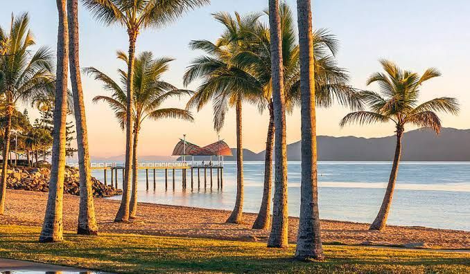 A Row Of Palm Trees On A Beach Next To The Ocean — One Lane Financial In Burdell, QLD