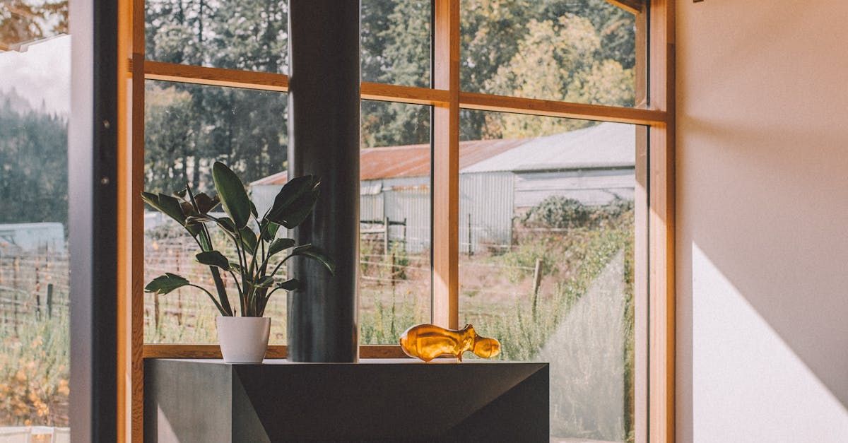 A Living Room With A Fireplace And A Potted Plant In Front Of A Window — One Lane Financial In Burdell, QLD