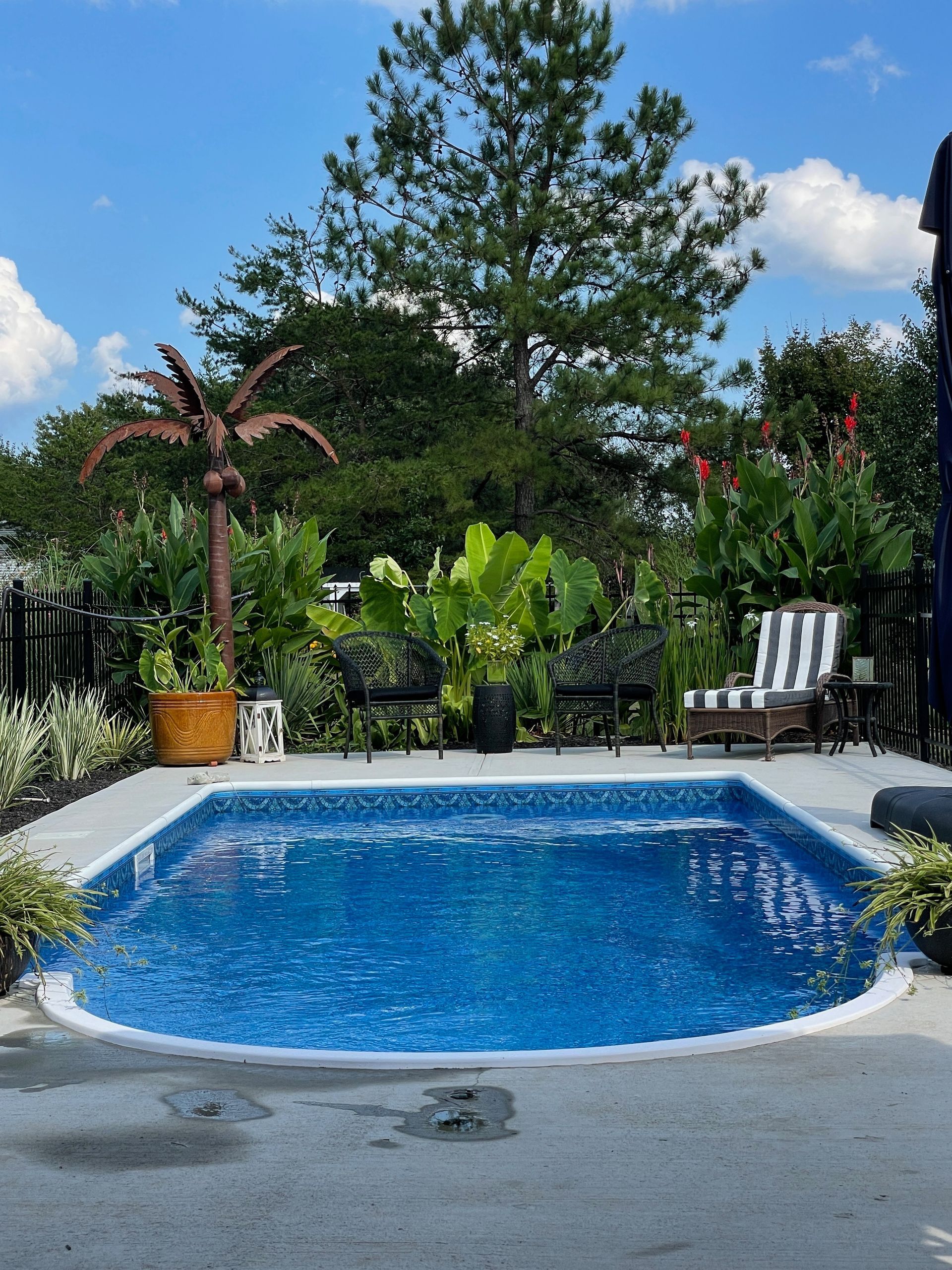 Small blue backyard pool surrounded by foliage, with seating and a decorative palm tree. Blue sky.