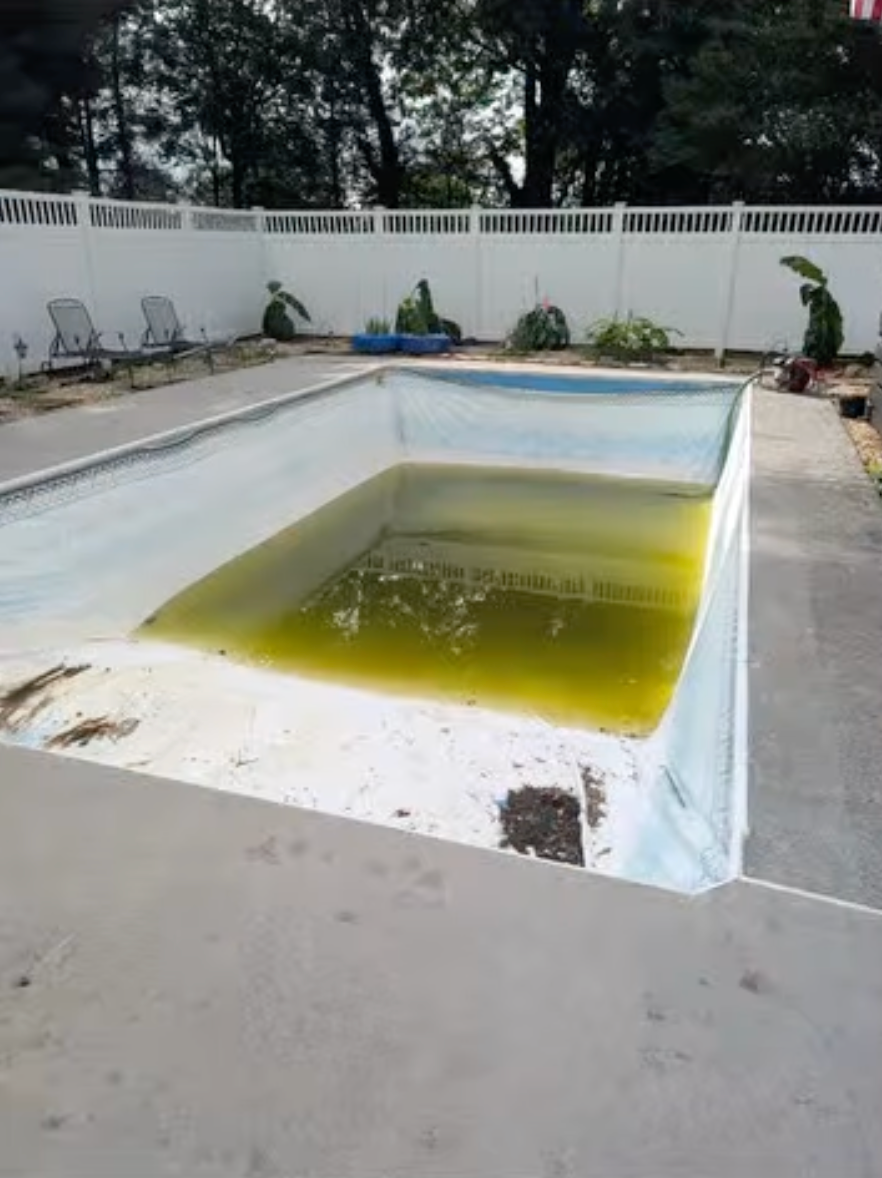 A swimming pool with a lot of green water in it.