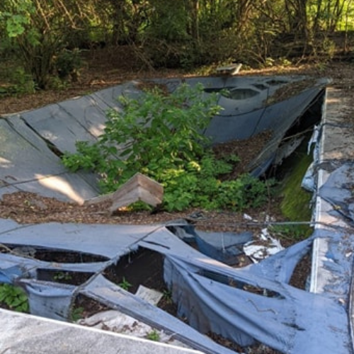 A large hole in the ground with a lot of plants growing out of it.