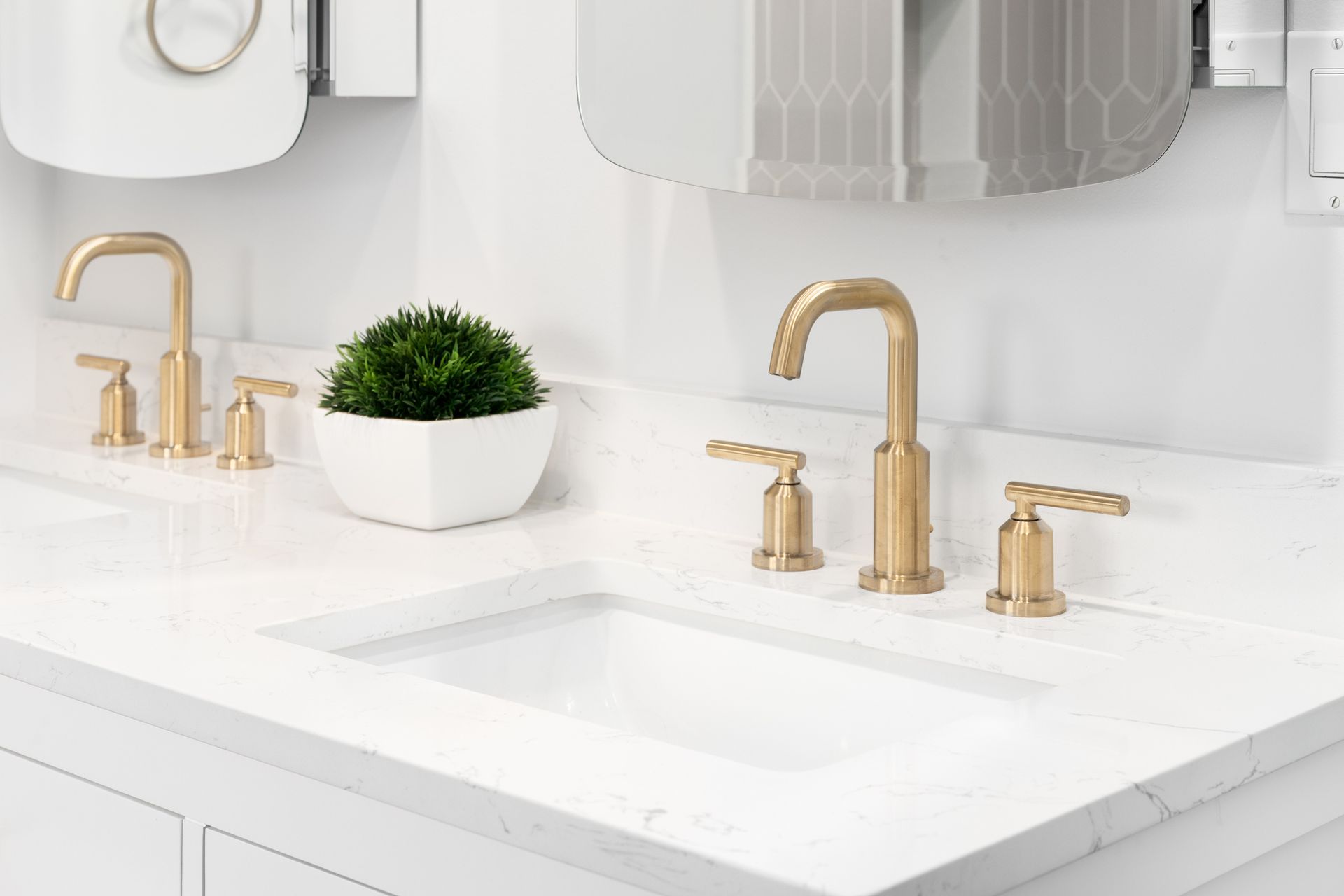 A bathroom sink with gold faucets and a potted plant on the counter.