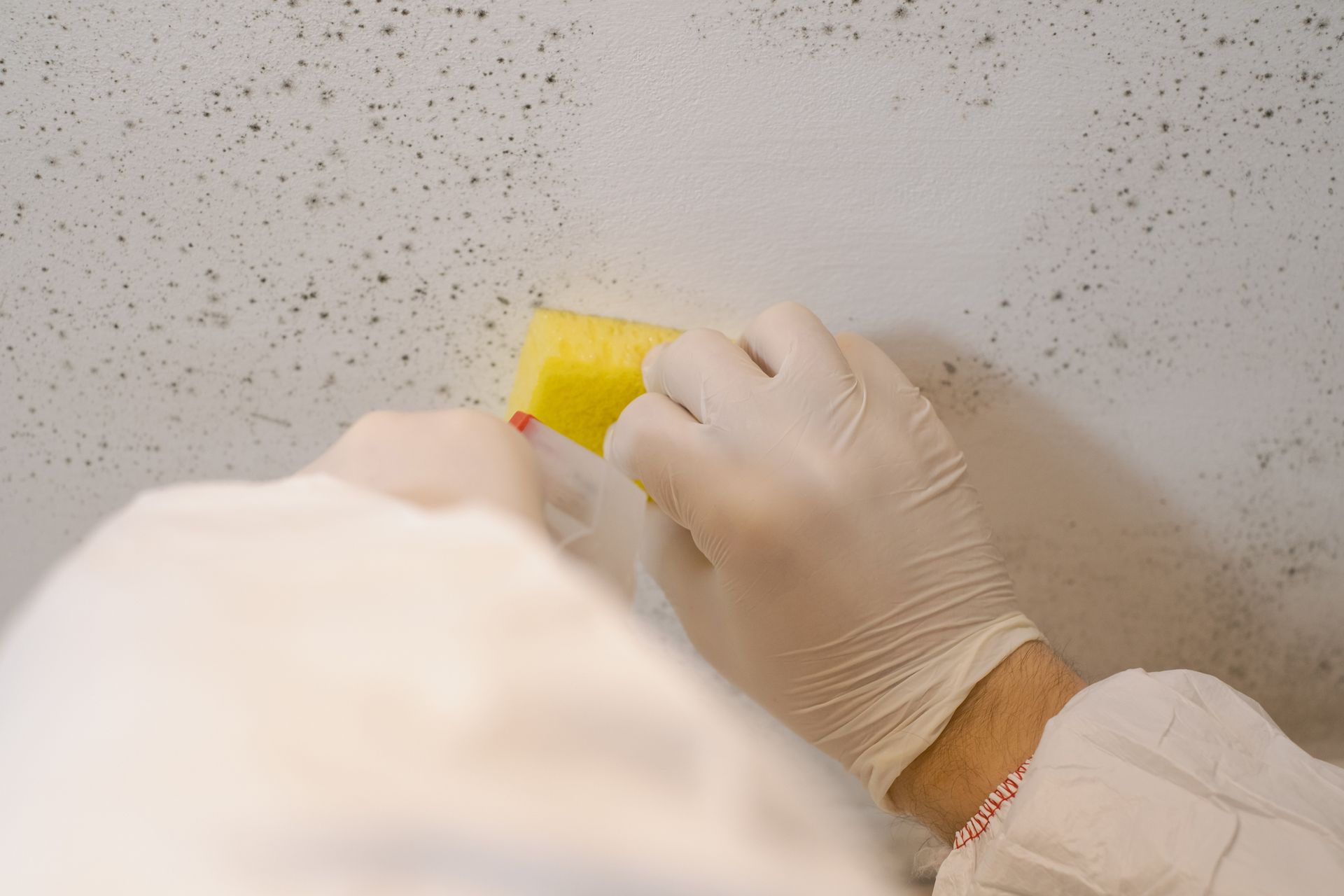 A person wearing gloves is cleaning a wall with a yellow sponge.