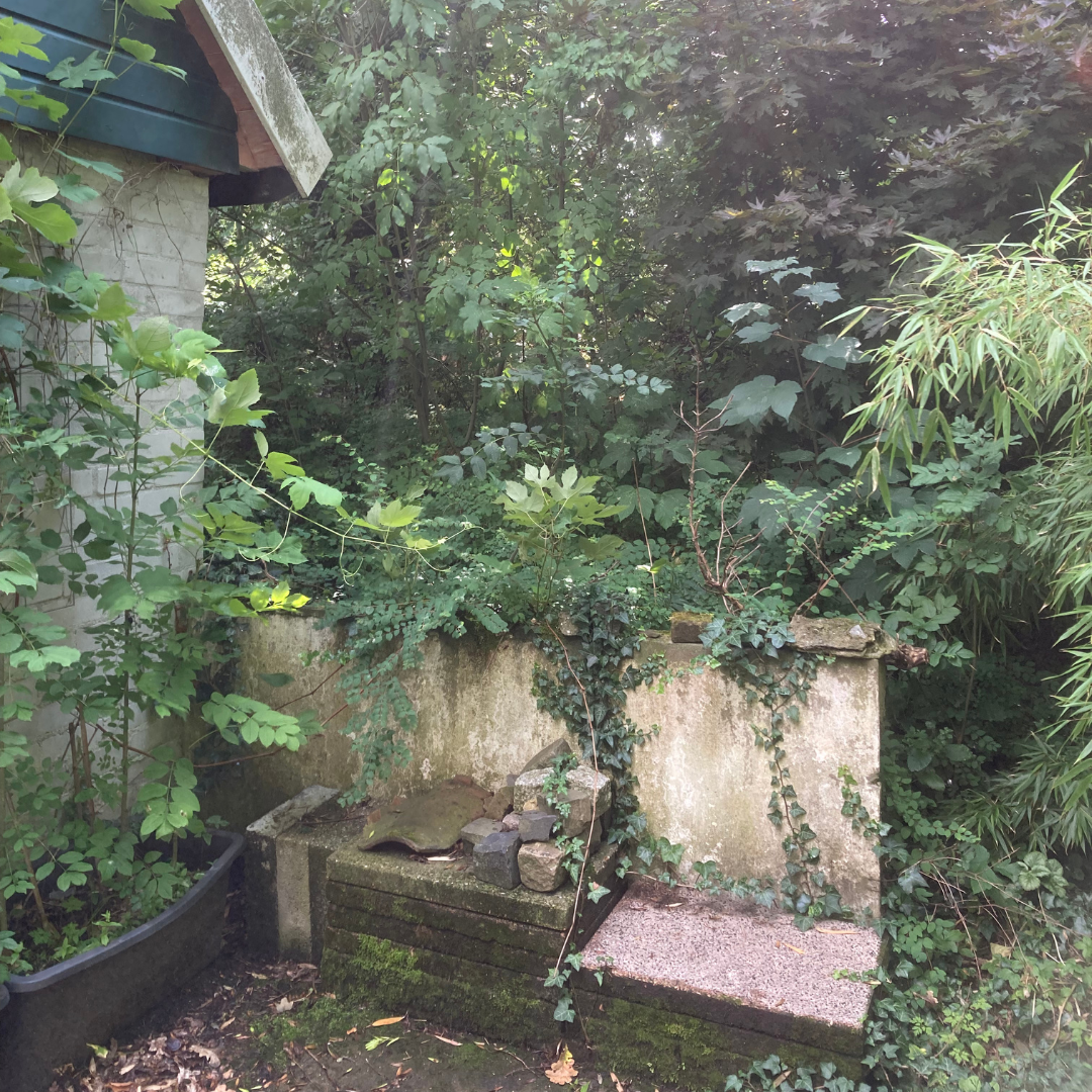 begroeid tuinmuurtje