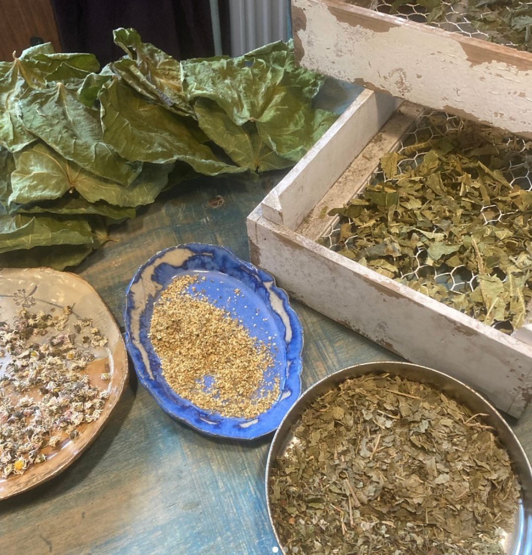 Gedroogde bladeren en zaden uitgestald in schalen en kommen op een turquoise tafel.