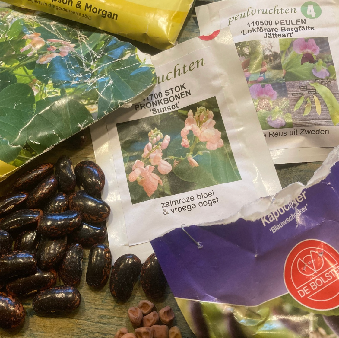 Zaadzakjes en donkere bonen verspreid over een oppervlak.