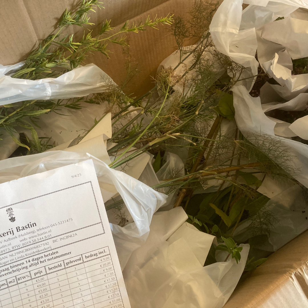 bestelling tuinplanten op tafel