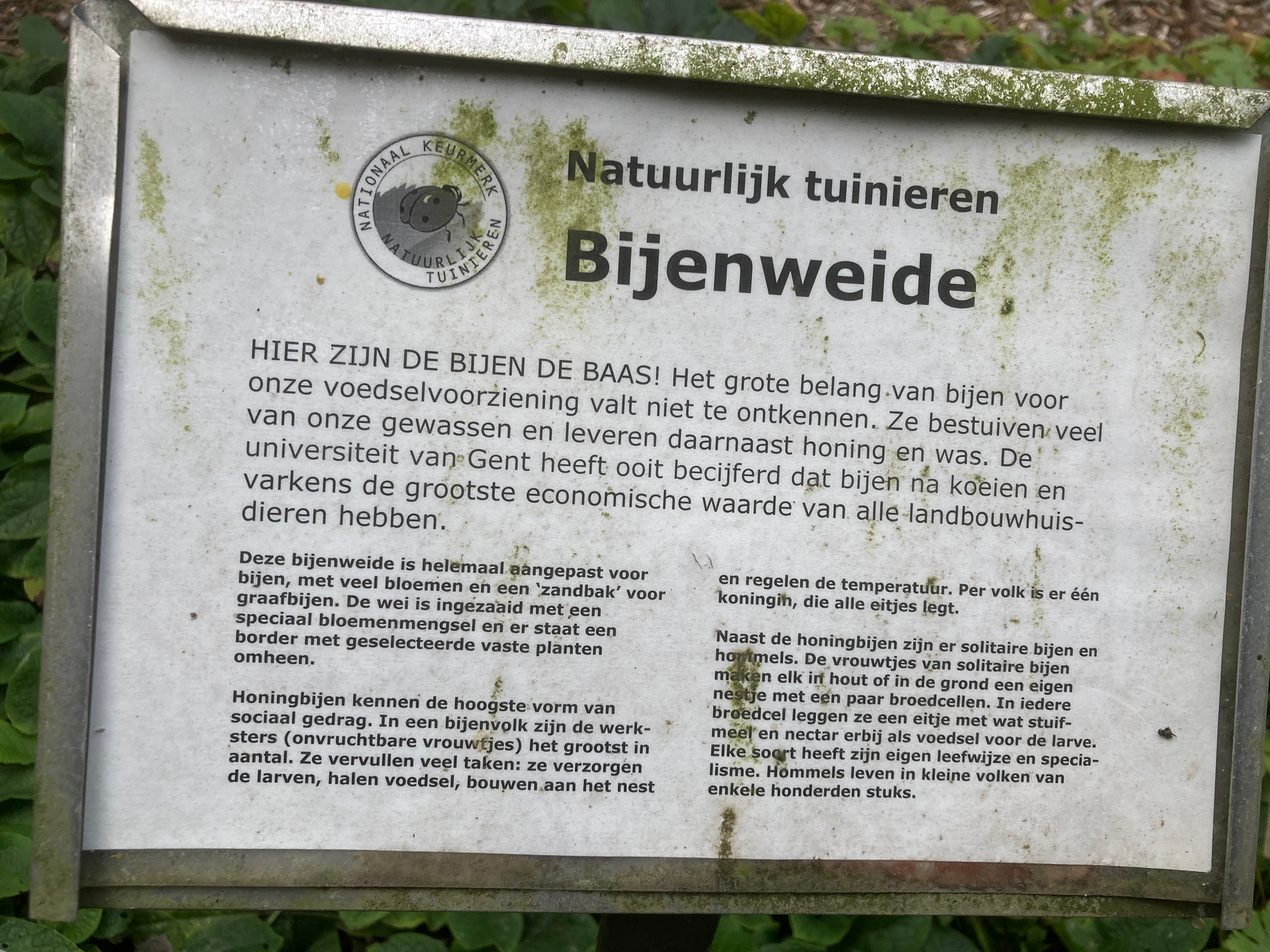 bordje met informatie over de bijenweide