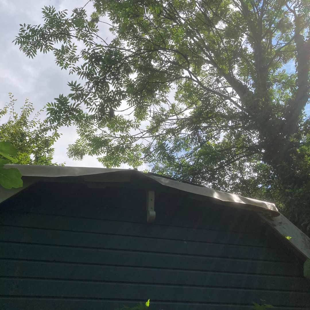 inspectie dak met los zeil erop