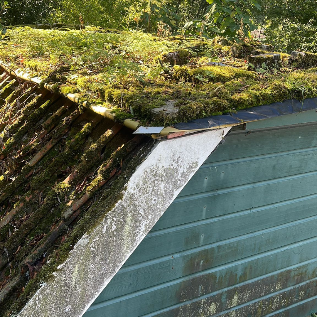 Groen mos bedekt een schuin dak. De zijkant van het gebouw is turquoise met witte accenten.