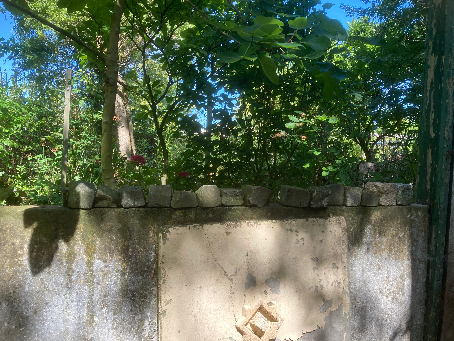 keienrandje op oud tuinmuurtje