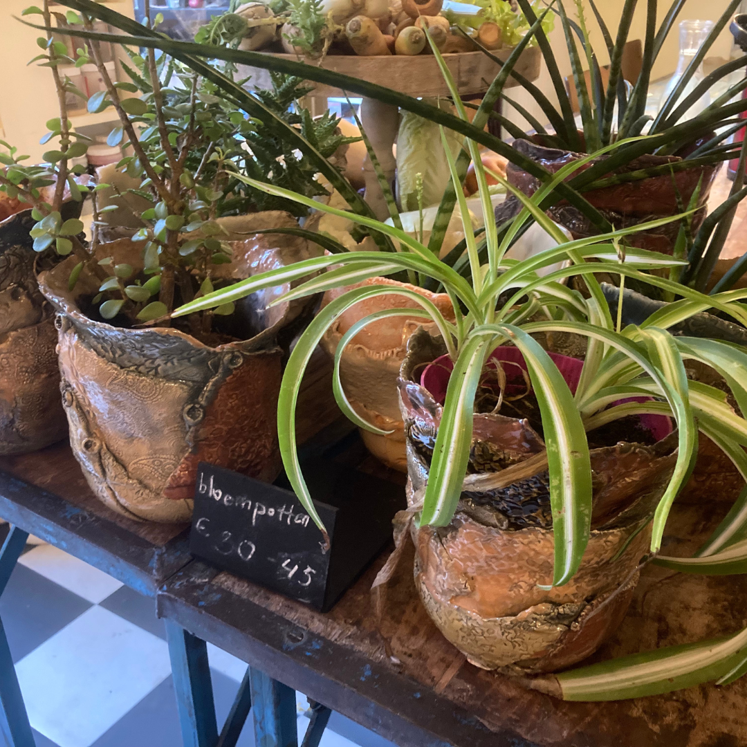 plantenpotten van kleurig keramiek door Gabriella van der Linden met daarin biologische kamerplanten