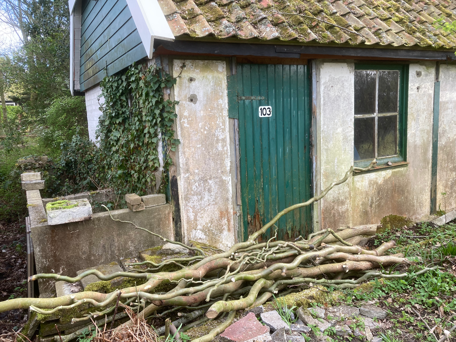 A rustic stone shed with a weathered green door, a small window, and tangled tree branches resting in the foreground.