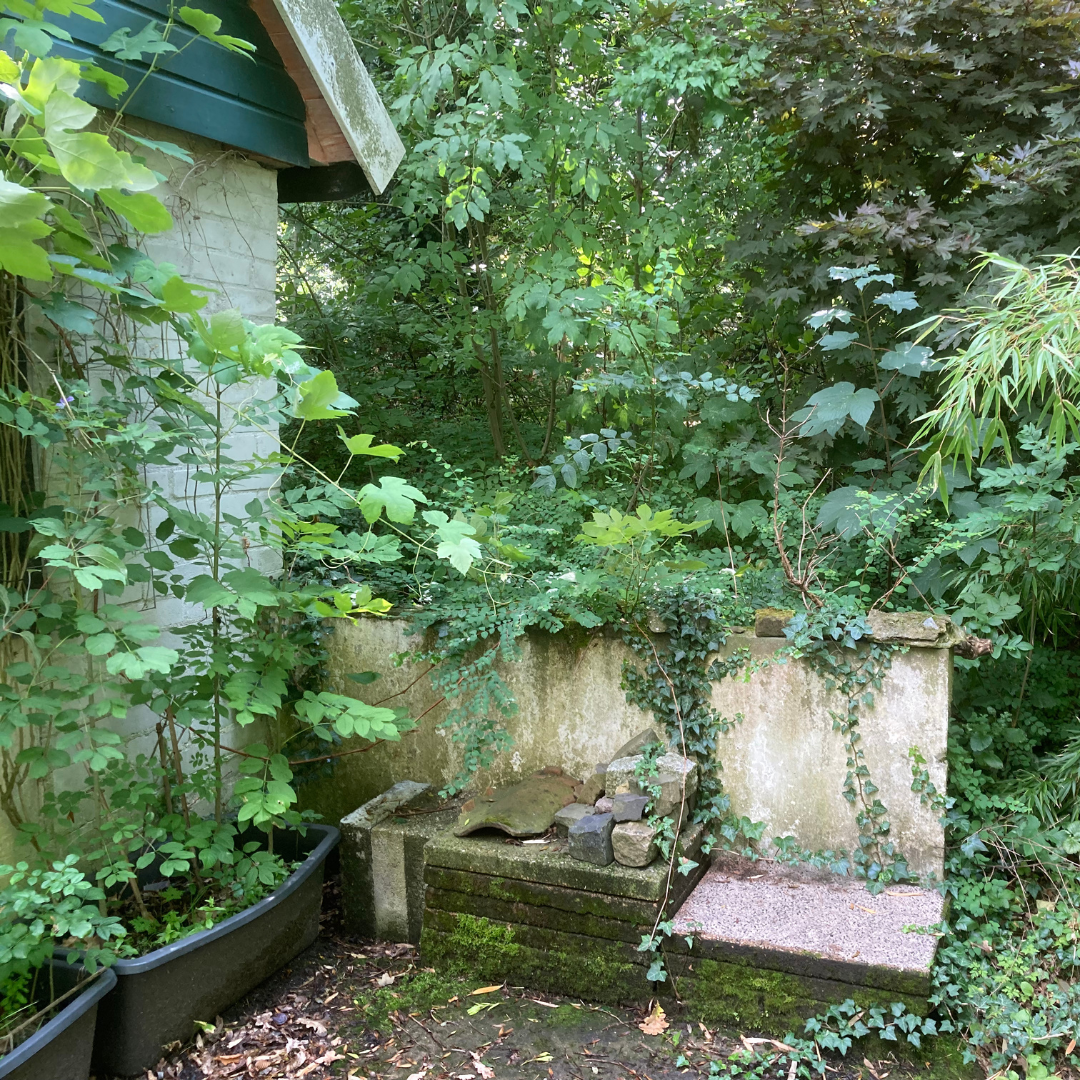 weelderig groen achter oud tuinmuurtje