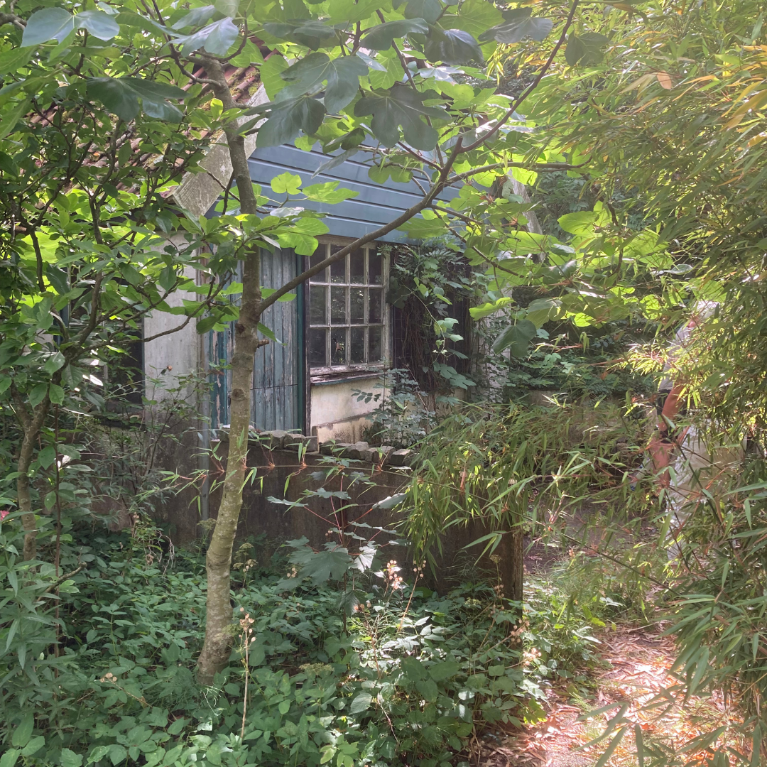 minicottage op verwaarloosde volkstuin