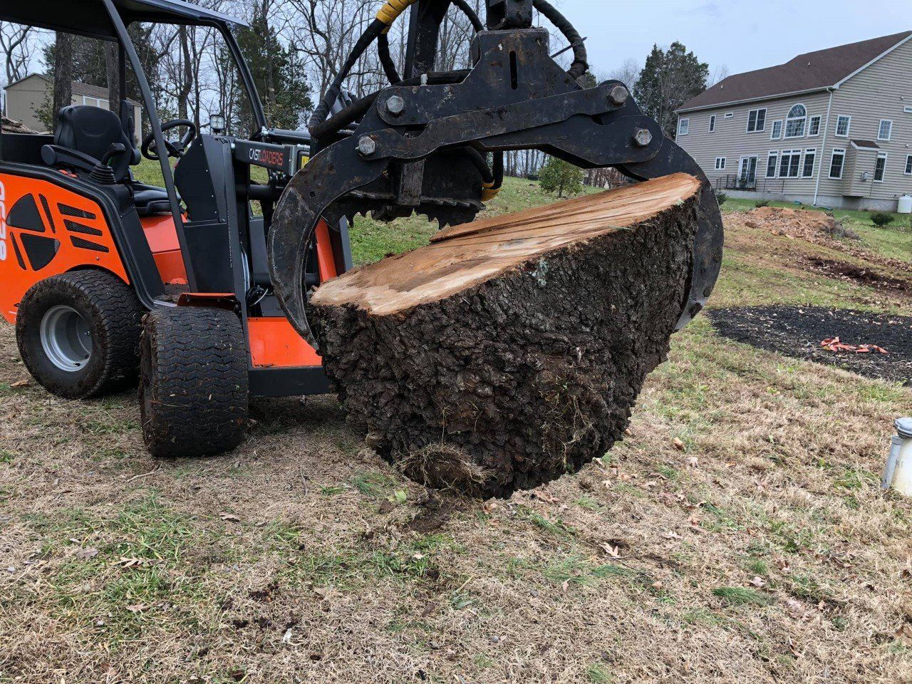 Tree Removal | Fredericksburg, VA | Branson Tree Service