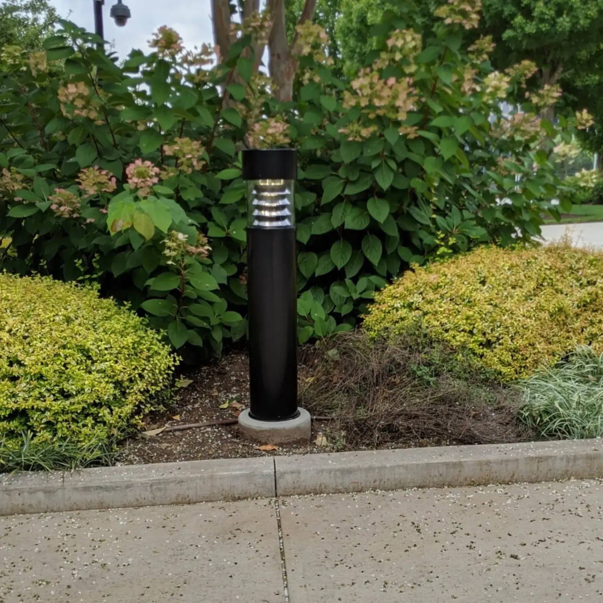 Black outdoor bollard light surrounded by green bushes and plants