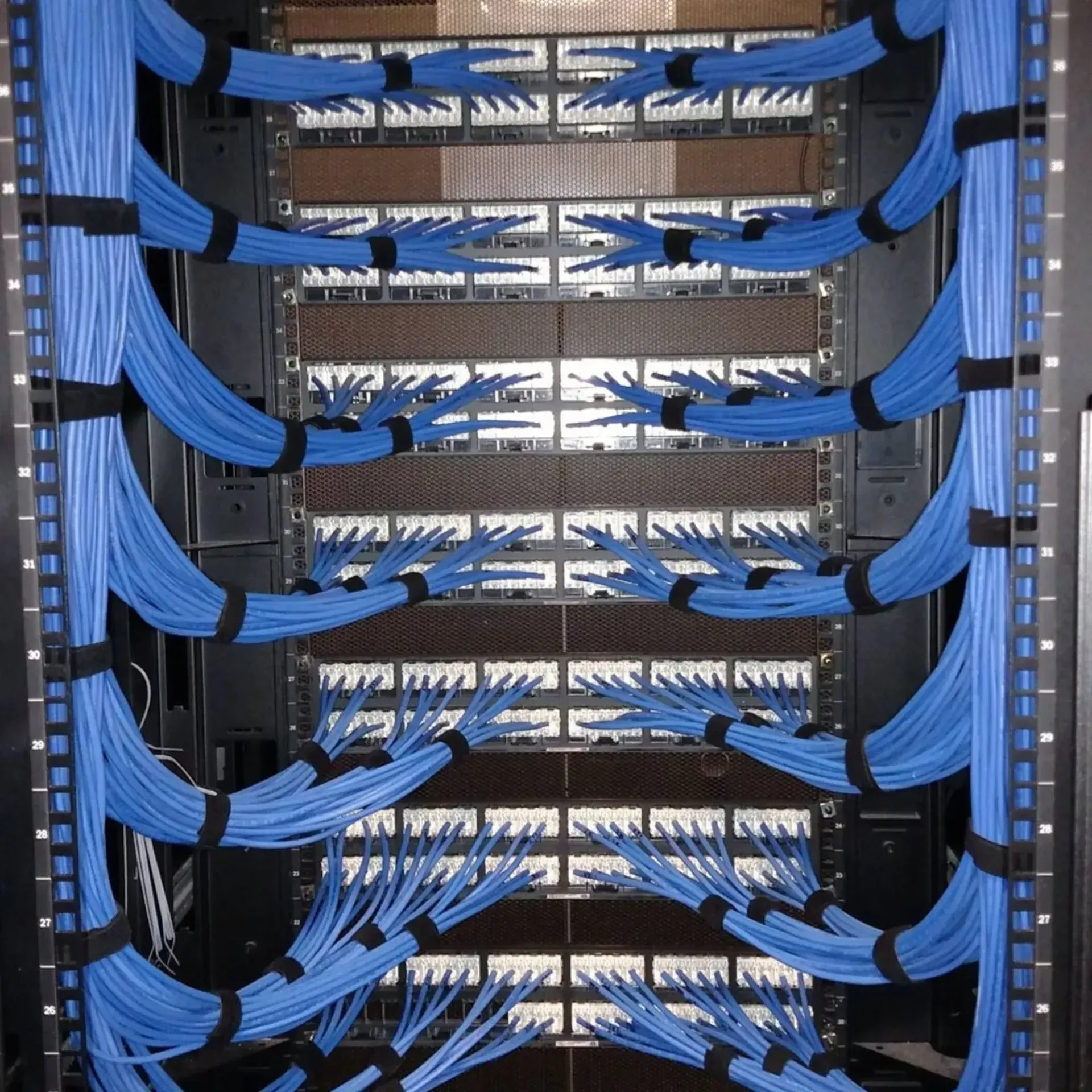 Blue network cables neatly bundled and routed in a server rack