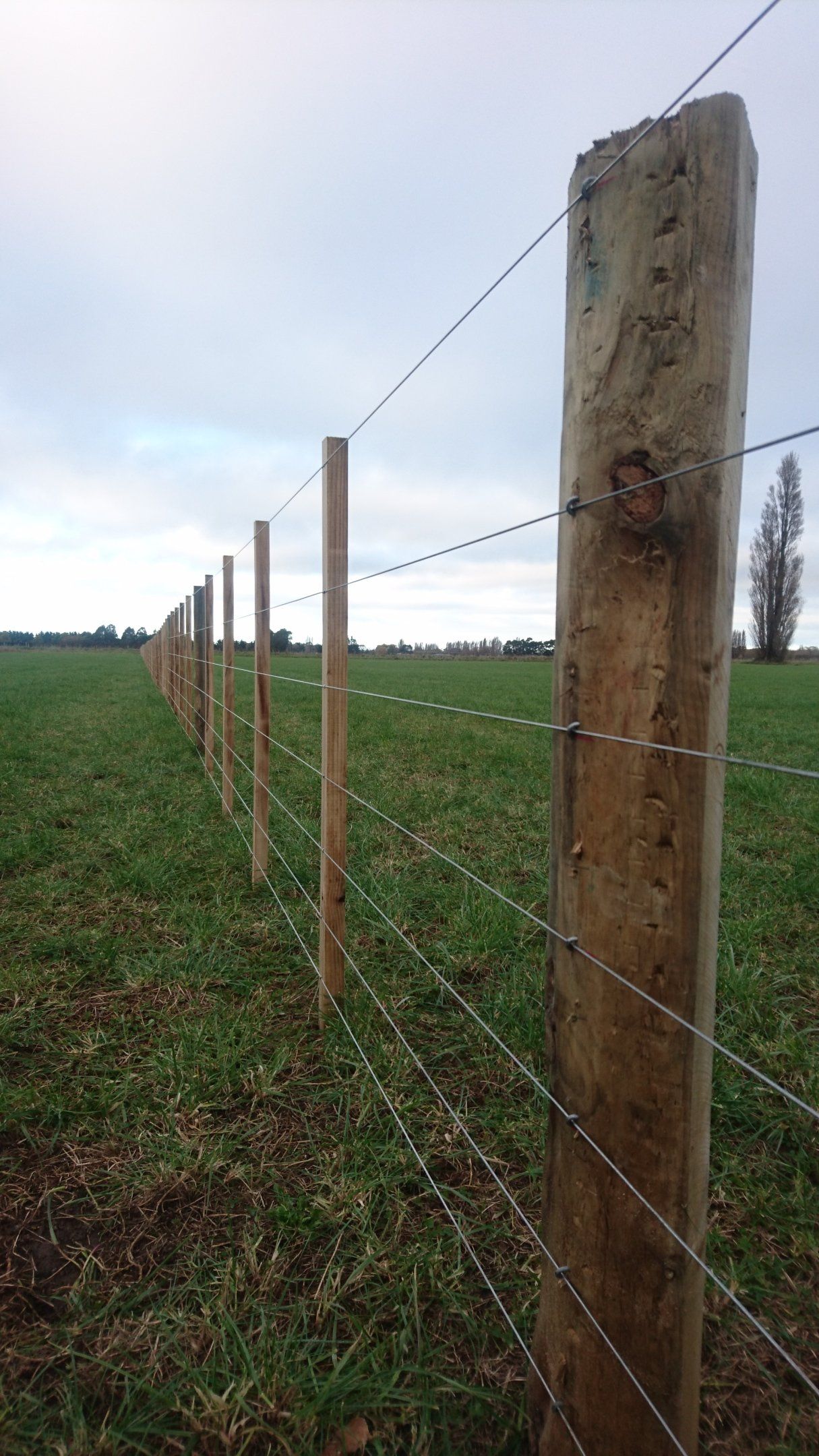 Batten fence Wire fence Sheep fence Cattle fence Farm fence