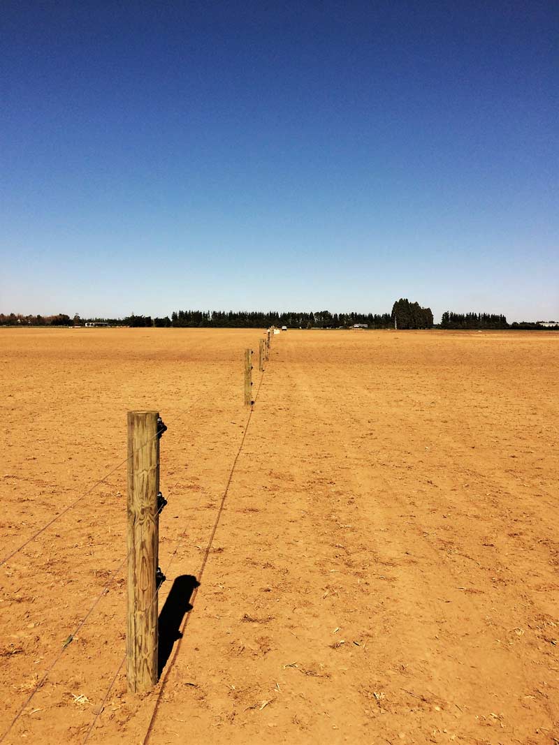 Diary farm Electric fence