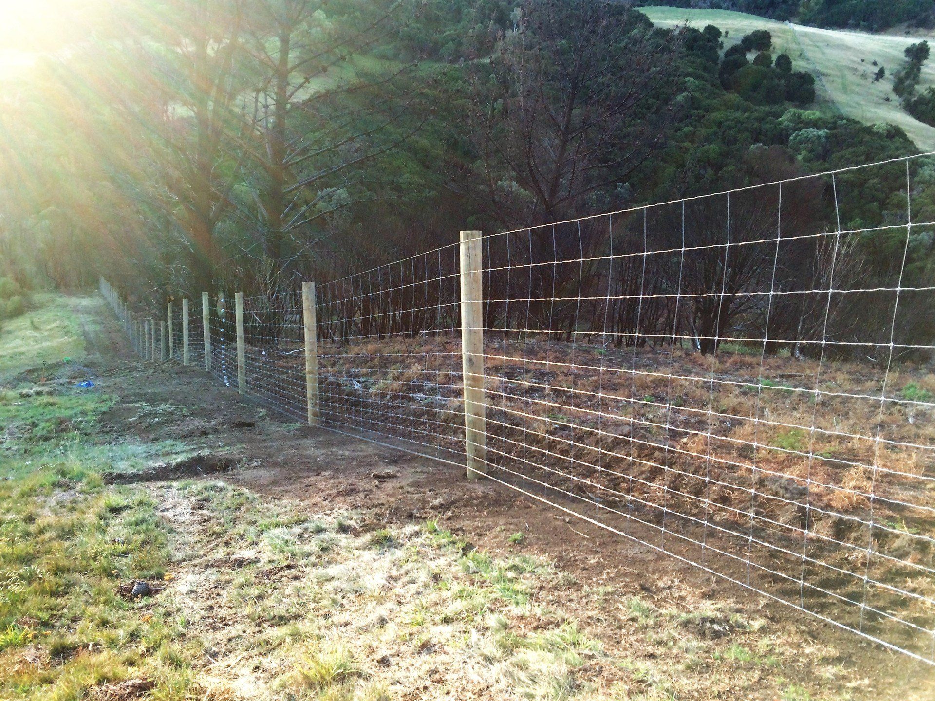 Deer fence Netting fence